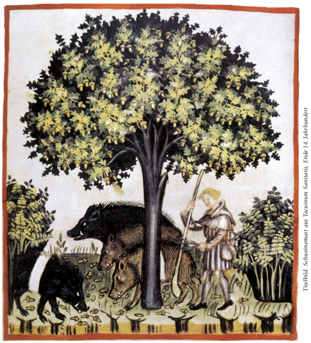 Wer möchte leben, ohne den Trost der Bäume